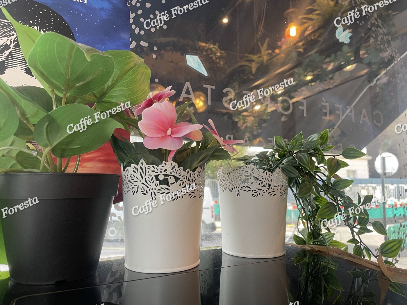 Flowers and greenery by the window