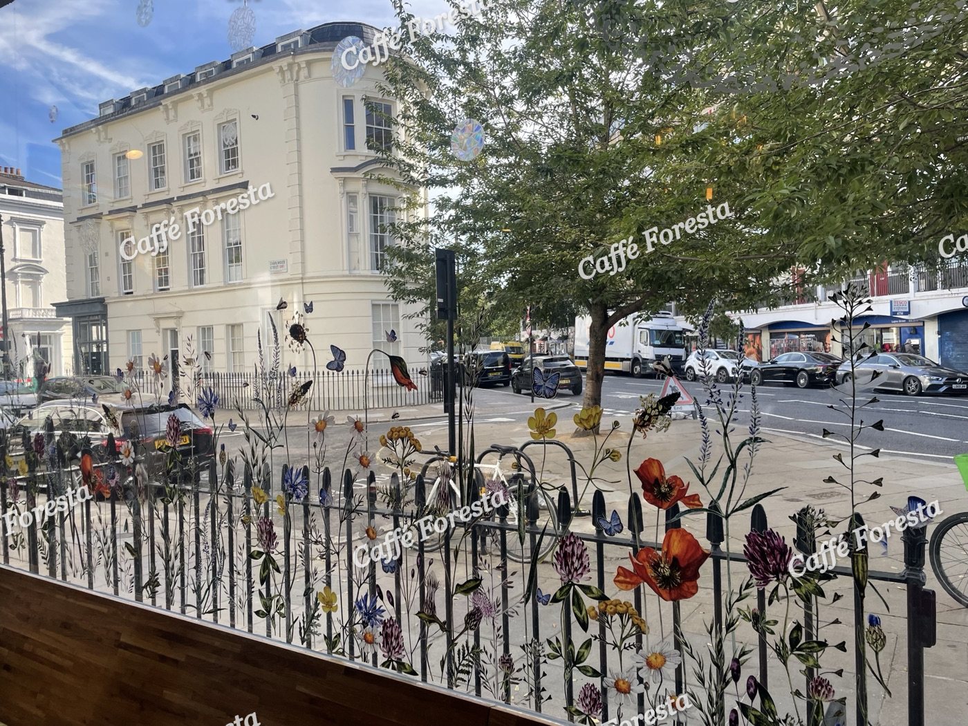Looking out onto Charlwood Street